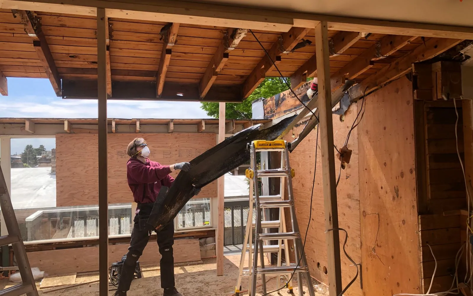 Renovators